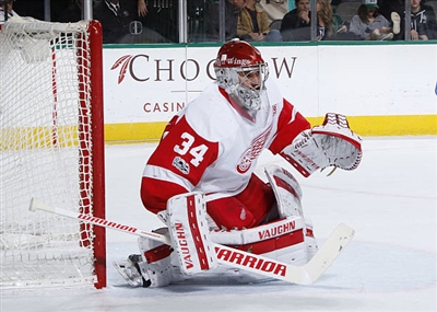 Petr Mrazek Poster 3567866