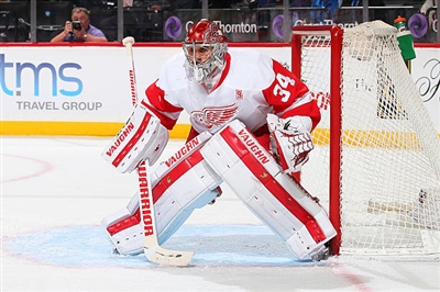 Petr Mrazek Poster 3567867
