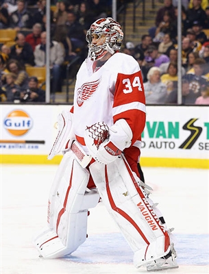 Petr Mrazek Poster 3567868