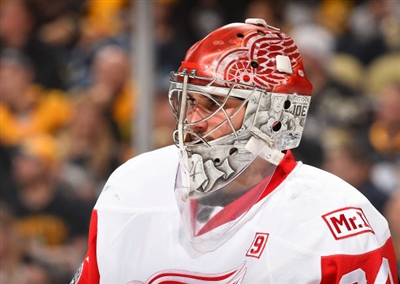 Petr Mrazek Poster 3567871