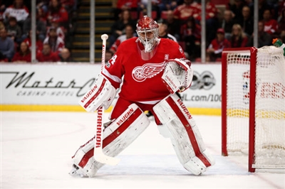 Petr Mrazek Poster 3567872