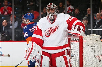Petr Mrazek Poster 3567877
