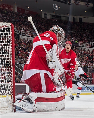 Petr Mrazek Poster 3567878