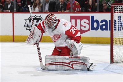 Petr Mrazek Poster 3567881