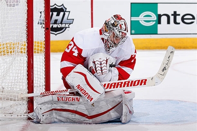 Petr Mrazek Poster 3567885