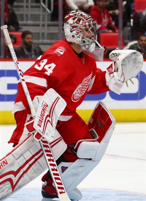 Petr Mrazek Poster 3567886