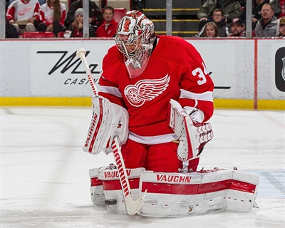 Petr Mrazek Poster 3567889