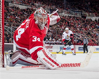 Petr Mrazek Poster 3567891