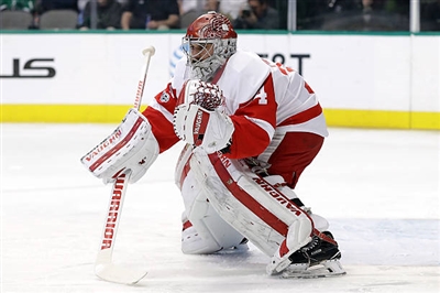 Petr Mrazek Poster 3567892