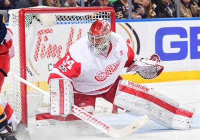 Petr Mrazek Poster 3567893