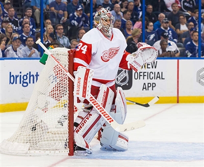 Petr Mrazek Poster 3567894