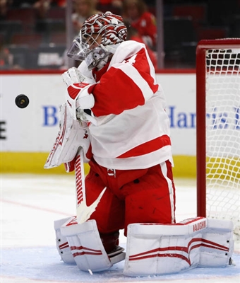 Petr Mrazek Poster 3567895