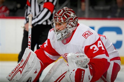 Petr Mrazek Poster 3567898