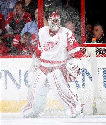 Petr Mrazek Poster 3567899