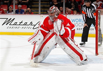 Petr Mrazek Poster 3567900