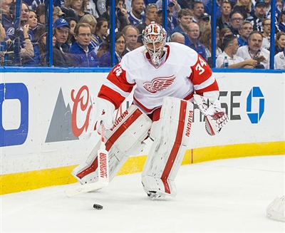 Petr Mrazek Poster 3567901