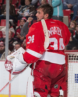 Petr Mrazek Poster 3567903