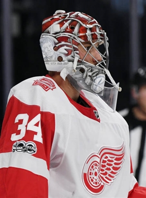 Petr Mrazek Poster 3567905