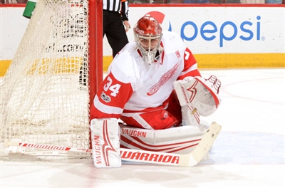 Petr Mrazek Poster 3567909