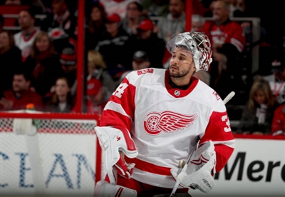 Petr Mrazek Poster 3567912