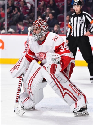 Petr Mrazek Poster 3567916