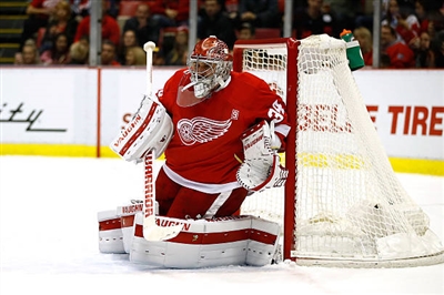 Petr Mrazek Poster 3567917
