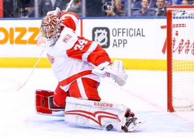 Petr Mrazek Poster 3567918