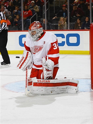 Petr Mrazek Poster 3567920