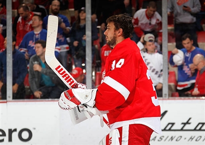 Petr Mrazek Poster 3567925