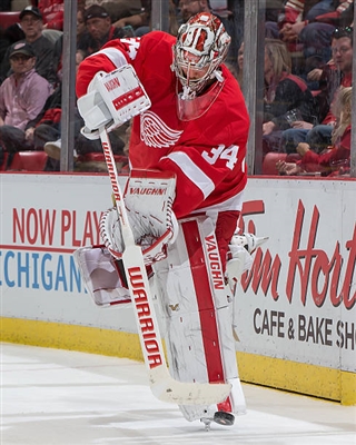 Petr Mrazek Poster 3567926