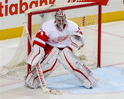 Petr Mrazek Poster 3567928