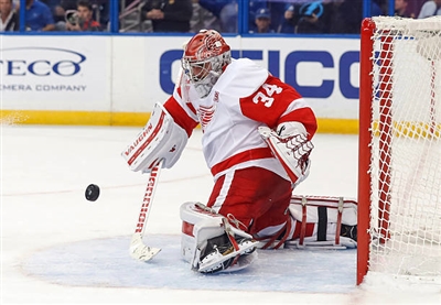 Petr Mrazek Poster 3567929