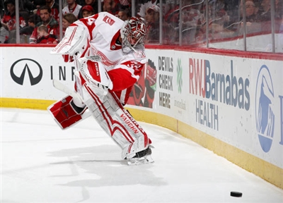 Petr Mrazek Poster 3567930