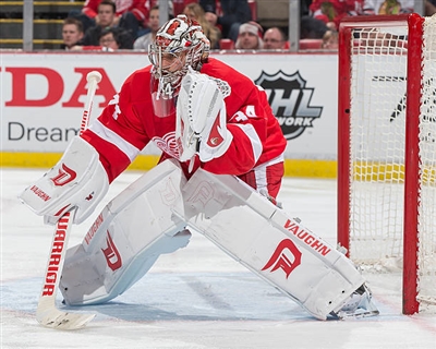 Petr Mrazek Poster 3567933