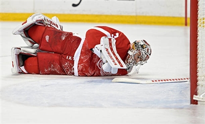 Petr Mrazek Poster 3567935