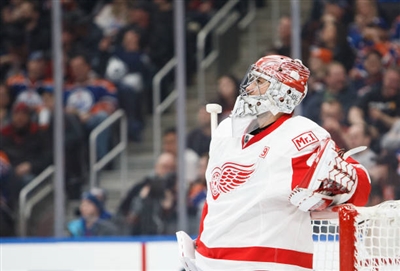 Petr Mrazek Poster 3567937