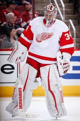 Petr Mrazek Poster 3567938