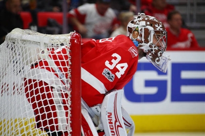 Petr Mrazek Poster 3567941