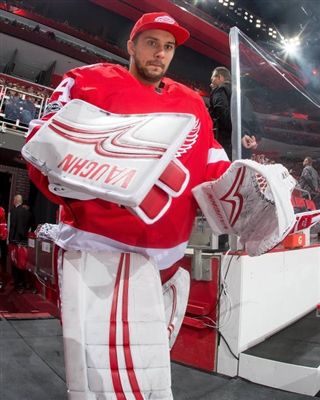 Petr Mrazek Poster 3567942