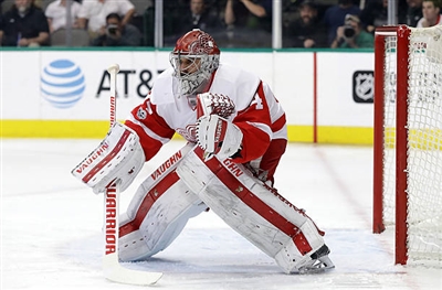 Petr Mrazek Poster 3567949