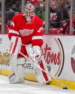 Petr Mrazek Poster 3567952