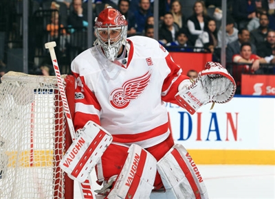 Petr Mrazek Poster 3567953