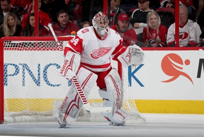 Petr Mrazek Poster 3567954