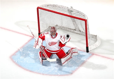 Petr Mrazek Poster 3567955