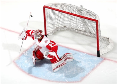 Petr Mrazek Poster 3567962