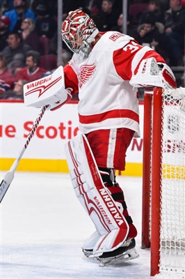 Petr Mrazek Poster 3567965