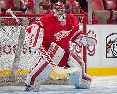 Petr Mrazek Poster 3567967