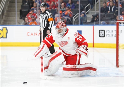Petr Mrazek Poster 3567969