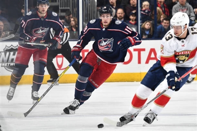 Pierre-Luc Dubois Poster 3558345