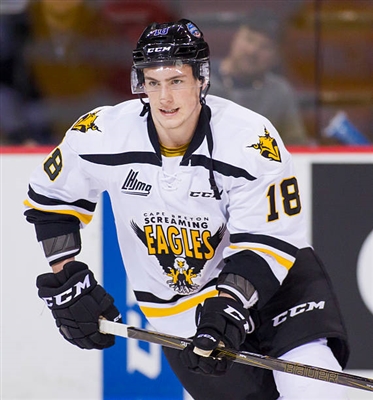 Pierre-Luc Dubois Poster 3558383